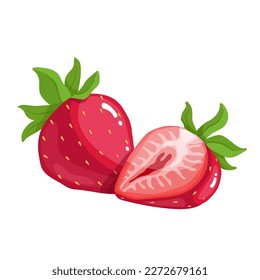 Ripe summer strawberry. Vector graphics.