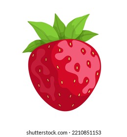 Ripe summer strawberry.Cartoon vector graphic.