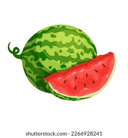 Ripe summer watermelon with juicy berry slice.Vector graphics.