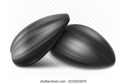 Ripe sunflower seed, detailed realistic 3d vector. isolated on white background, close-up