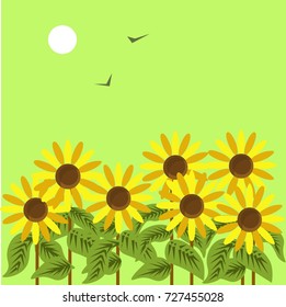 Ripe sunflowers under dim sun in green sky with birds