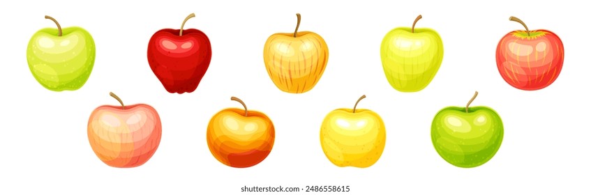 Ripe Sweet Apple Fruit of Bright Color Vector Set