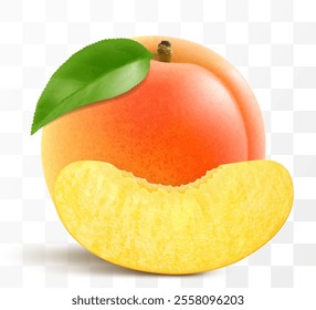 Ripe sweet apricot fruits whole and slices isolated on transparent background. Concept of healthy food, vegetarian dieting. Realistic 3d vector illustration.