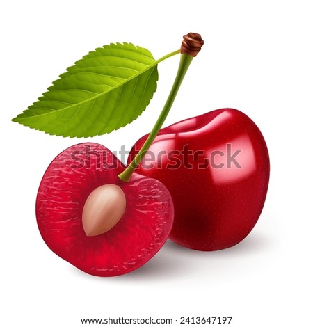 Ripe sweet Cherrys with green leaf on white backdrop. The cherries are both a deep red color with smooth, shiny skins