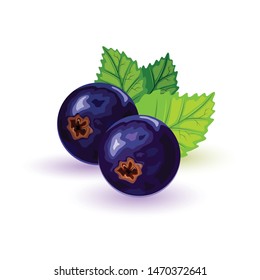 Ripe, sweet and juicy blackcurrant with green leaves. Ingredient for healthy eating and nutrition. Berries are natural antioxidant. Cartoon vector icon isolated on white background.