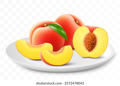 Ripe sweet peach or apricot on a white plate isolated on a transparent background. Whole, slices and half an peach with a pit. Healthy vitamin food. Realistic 3d vector illustration