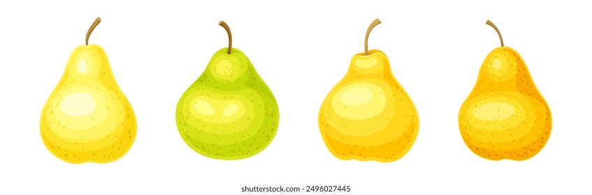 Ripe Sweet Pear Fruit of Bright Color Vector Set