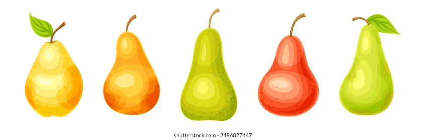 Ripe Sweet Pear Fruit of Bright Color Vector Set