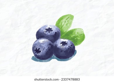 ripe tasty blackberries watercolor illustration of the foo