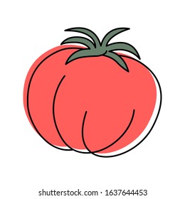 Ripe tomato isolated on white background. Hand drawn style. Healthy food. Italian cuisine. Minimalist and simple. Vector illustration.