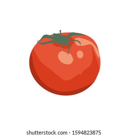 Ripe tomato isolated vector icon on white color background. Popular vegetable. Vegetarian Food. Can be used for T-shirts, aprons, fabrics, wrapping, logos, banners, flyers, stickers, posters.