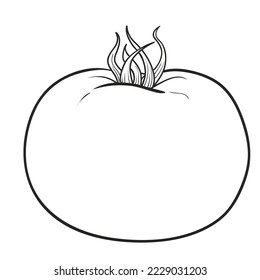 ripe tomato sketch, coloring book, isolated object on white background, cartoon illustration, vector, eps