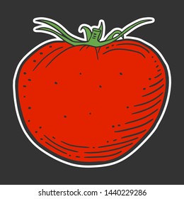 Ripe tomato. Vector concept in doodle and sketch style. Hand drawn illustration for printing on T-shirts, postcards.