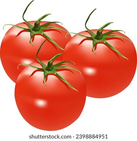 Ripe tomato vector design on a white background