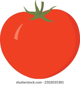 Ripe tomato, vegetarian organic food, fresh whole tomato vegetables, healthy nutrition food. Red tomatoes. Food concept