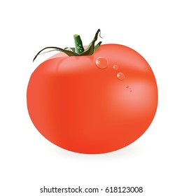 Ripe tomato with water drops.