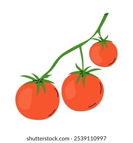 Tomates maduros crescendo em uma vinha sob luz solar brilhante em um cenário de jardim