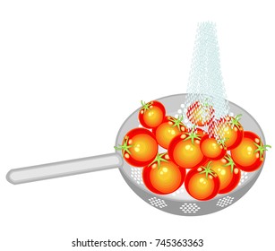 Ripe tomatoes are washed in a colander under a stream of cold water. According to the rules of hygiene, the collected vegetables should be eaten clean. Vector illustration.