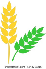 Reife und unreife Weizenähren, Vektorillustration, Logo und Design
