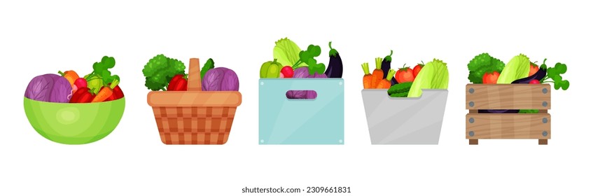 Ripe Vegetable in Basket and Crate as Seasonal Harvesting and Yield Vector Set