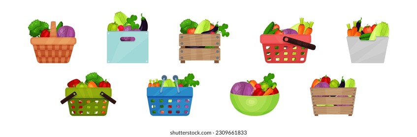 Ripe Vegetable in Basket and Crate as Seasonal Harvesting and Yield Vector Set