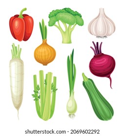 Ripe Vegetable as Healthy Raw Food and Garden Cultivar Vector Set