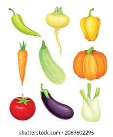 Ripe Vegetable as Healthy Raw Food and Garden Cultivar Vector Set