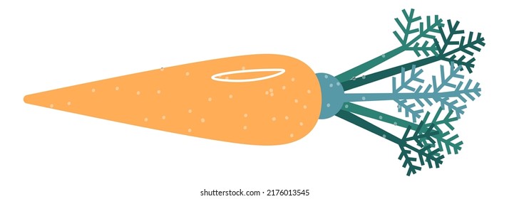 Ripe vegetable, isolated carrot with leaves. Harvested organic and natural products. Dieting and nutrition, agriculture and farming. Healthy ingredient for food preparation. Vector in flat style
