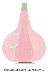 Ripe vegetable, isolated garlic cloves ingredient for cooking and preparing dishes. Veggie with vitamins and microelements. Harvested and grown on farms. Tasty products. Vector in flat style