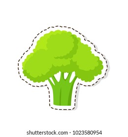 Ripe vegetable sticker or icon. Green broccoli flat vector isolated on white background. Vegetarian food illustration outlined with dotted line