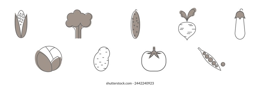 Ripe Vegetables and Garden Crop Line Icon Vector Set.