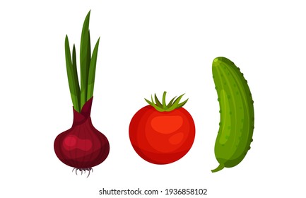 Ripe Vegetables as Healthy Raw Food with Cucumber and Tomato Vector Set