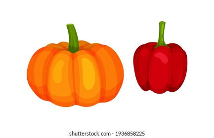 Ripe Vegetables as Healthy Raw Food with Pumpkin and Red Bell Pepper Vector Set