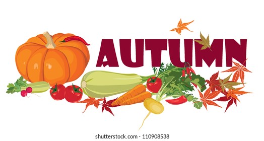 Ripe vegetables. Still life with autumn abundance.
