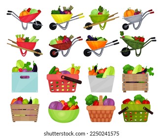 Ripe Vegetables in Wheelbarrow, Crate and Basket as Horticulture Big Vector Set