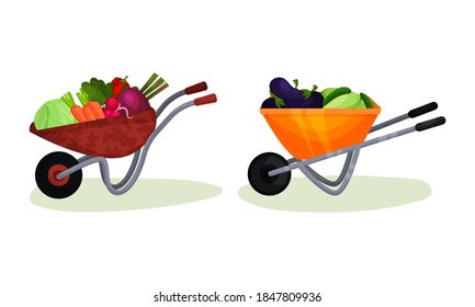 Ripe Vegetables in Wheelbarrow as Horticulture Vector Set