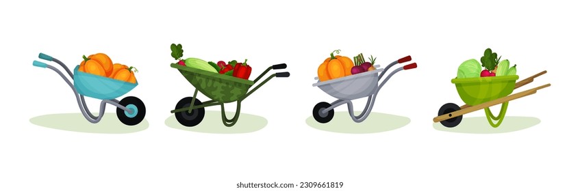 Ripe Vegetables in Wheelbarrow as Horticulture Vector Set