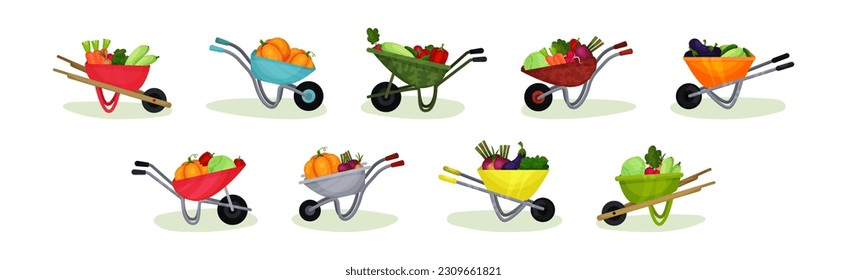 Ripe Vegetables in Wheelbarrow as Horticulture Vector Set