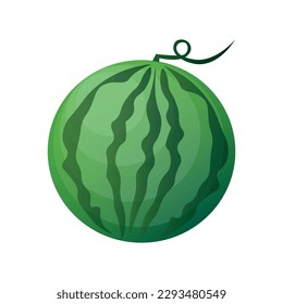 Ripe watermelon on white background