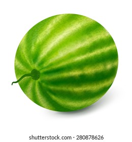 Ripe watermelon on a white background.Vector illustration.