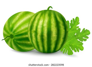 Ripe watermelon on a white background.Vector illustration.