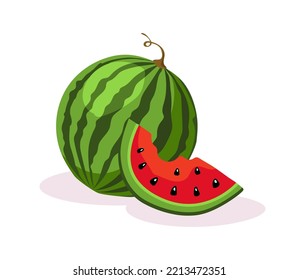 Ripe watermelon and piece of watermelon with seeds. Vector