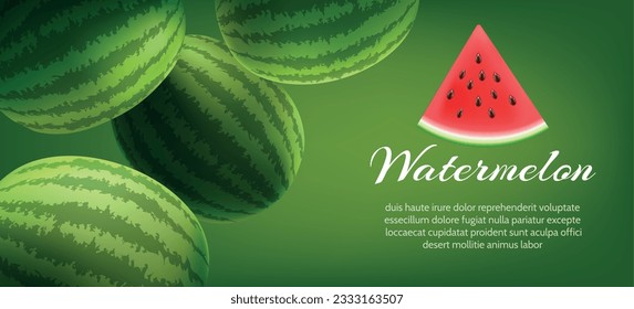 Diseño de afiches de sandía madura en un estilo realista. Melón de agua entera fruta fresca madura fruta dulce con jugosas cortadas sandías realistas trozo de pancarta, volando y cayendo imagen de melones