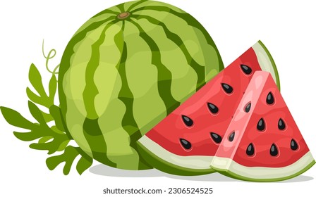 Ripe watermelon with a slice and a triangle close-up on a white background.
