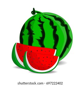 Ripe watermelon and two juicy red slices, cartoon on a white background.vector