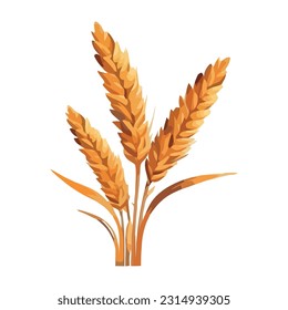 Ripe wheat and barley bundle, symbol of harvest icon isolated