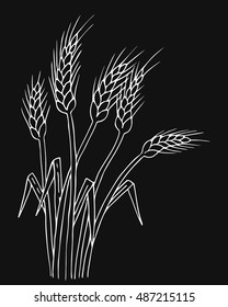 Ripe wheat ears isolated, black and white hand drawn vector illustration.