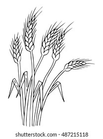 Ripe wheat ears isolated, black and white hand drawn vector illustration.