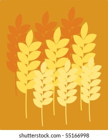 Ripe wheat ears vector illustration