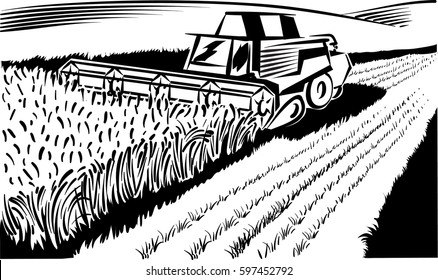 ripe wheat field with harvester